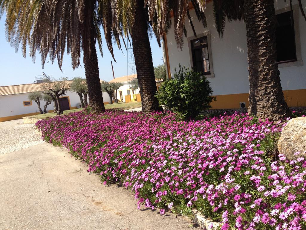 Holiday home Quinta Da Mata Sobral (Santarem)